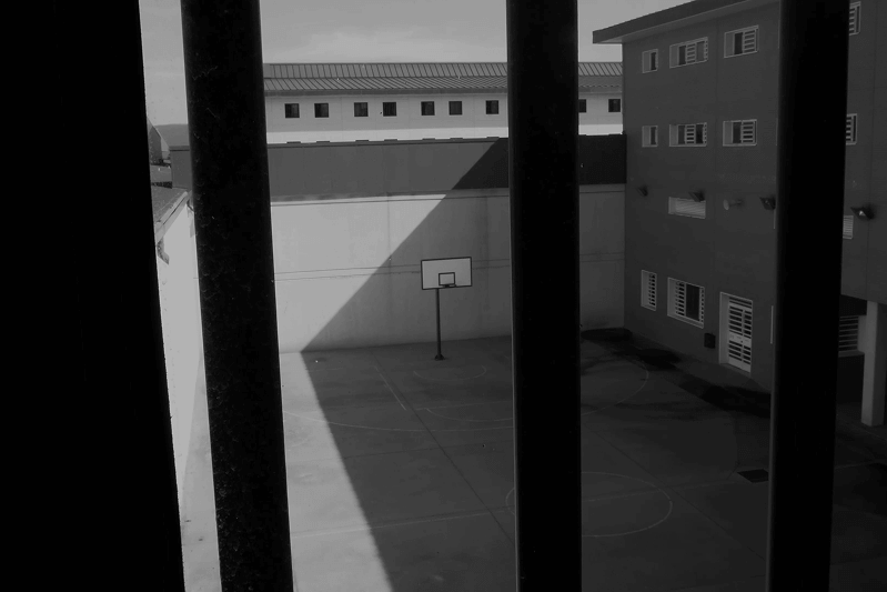 Versos libres gallery